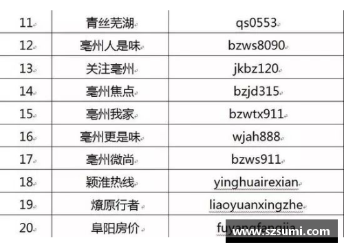 BB视讯鲁能球员家暴案件调查：权力、责任与法律的交汇 - 副本